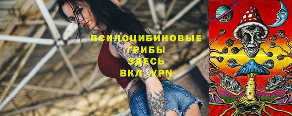 mdpv Козловка