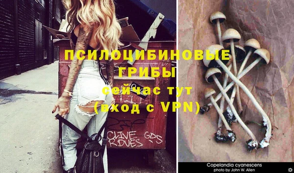 mdpv Козловка