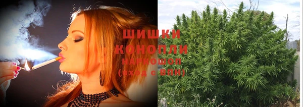 mdpv Козловка