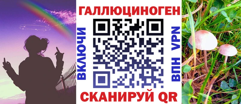 где можно купить   Элиста  omg ссылка  Псилоцибиновые грибы Psilocybine cubensis 